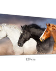 Quadro in vetro Tre Cavalli